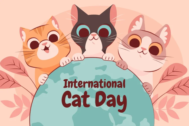 8-agosto-giornata-mondiale-del-gatto